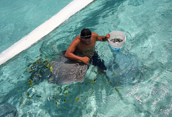 【ボラボラ島発】ラグナリウムツアー（1日コース/ランチ付き)