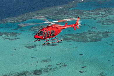 【世界遺産】【時間選択可】グレートバリアリーフ＆熱帯雨林 ヘリコプター遊覧飛行ツアー