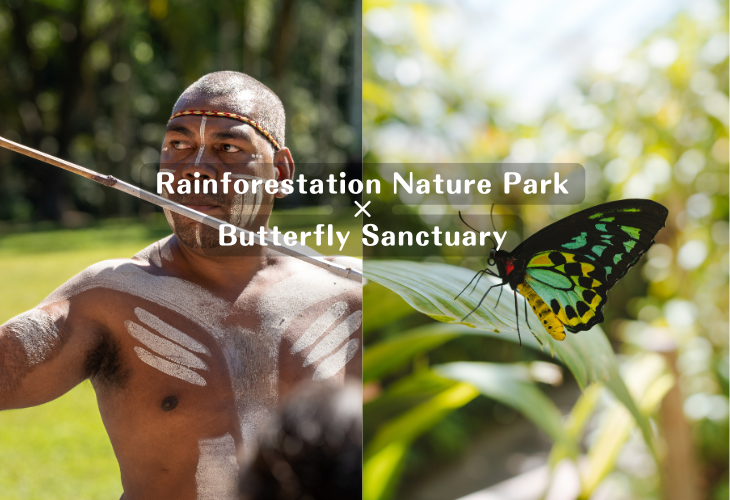 【世界遺産】キュランダ　レインフォレステーション自然公園×バタフライサンクチュアリのコンボチケット