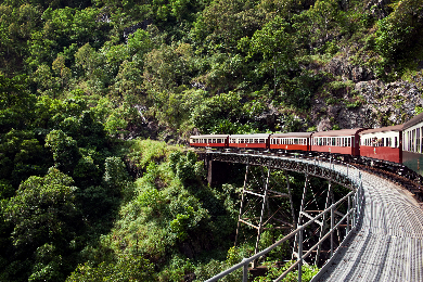 往路シャトルバス+復路キュランダ鉄道　キュランダ村＆レインフォレステーション