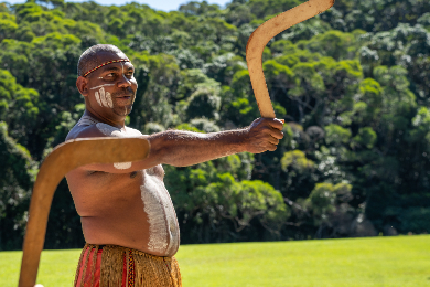 【チケットのみ】【世界遺産】キュランダ 選べる！レインフォレステーション入場券