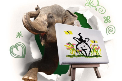 【日本語ガイド】【半日】＜チェンマイ発＞
象の保護施設で象とふれあう！
エレファントキャンプ体験＆筏ボート＆首長族の村訪問