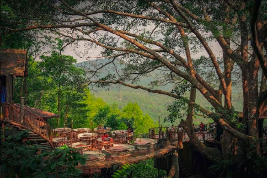 【日本語ガイド】今チェンマイで一番有名！
メーカンポン村の観光