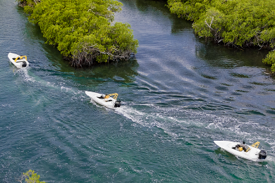 【ひとり旅応援】【現地集合/時間選択可】マングローブを駆け抜ける!ボートドライ&シュノーケルのW体験ジャングルツアー