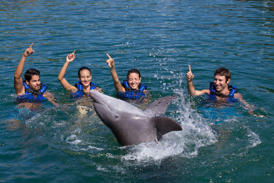 シェルハ海洋公園オールインクルーシブツアー& スイムウィズドルフィン(イルカと遊ぶ45分)& ドルフィンシュノーケルでお得に大満足♪
