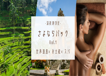 【さよならパック①】　バリ得プラン　観光＋お土産＋スパ　空港送迎　