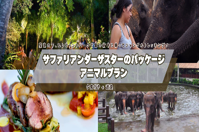 【アニマルプラン】星空の下、エレファントパークで象の背中に乗って夜のジャングルをトレッキング！夕食付！　