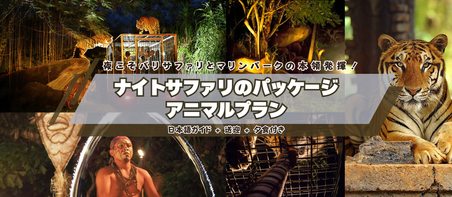 【アニマルプラン】夜のサファリパークへ！　夜こそサファリパークの本領発揮！　バリサファリ＆マリンパーク　ナイトサファリ夕食付