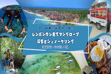 【日本語ガイド】レンボンガン島でマングローブ探索とシュノーケル　サンゴ礁に囲まれた島　