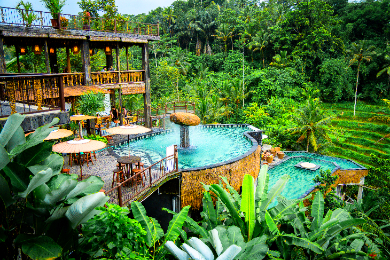 【日本語ガイド】ウブド村散策と棚田ランチ