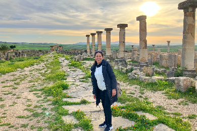 ＜フェズ発＞【プライベート】【日本語アシスタント付】
2つの世界遺産めぐり！ヴォルビリス・メクネスツアー