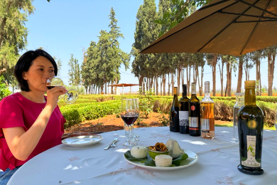 ＜フェズ発＞【プライベート】【日本語アシスタント付】
モロッコのワイナリー「ヴィラ・ヴォルビリア」
ランチ＆ティスティングツアー