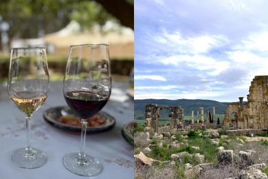 ＜フェズ発＞【プライベート】【日本語アシスタント付】
モロッコのワイナリー
「ヴィラ・ヴォルビリア」のティスティング
+
世界遺産ヴォリュビリスツアー