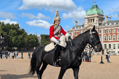 ＜ひとり旅応援＞＜テムズ川クルーズ付き＞
見どころを一日で！ロンドン王道一日観光　