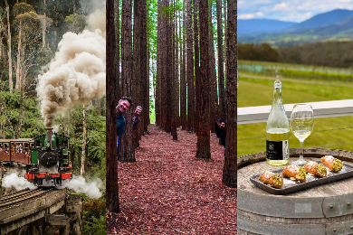 【日本語音声ガイドアプリあり】バス内無料Wi-Fi
パッフィンビリー鉄道ツアー