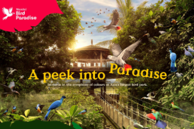 バードパラダイス入場券(日付指定制)