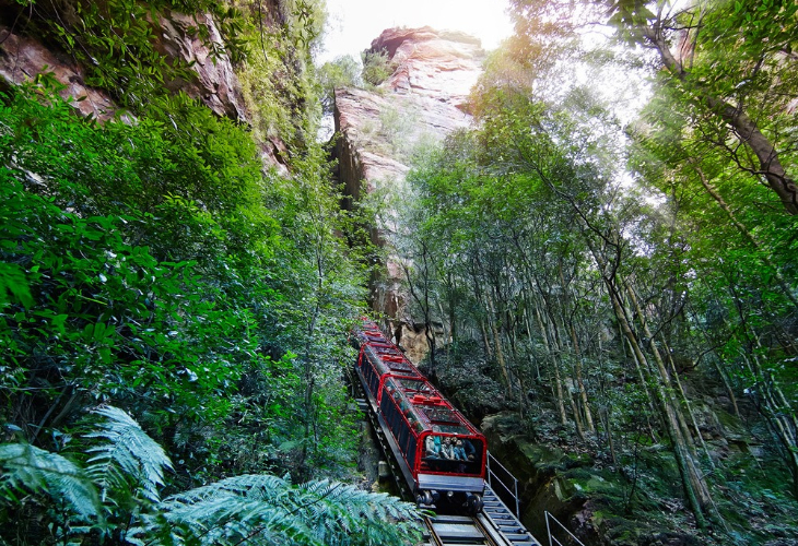 【日本語ガイド】世界遺産ブルーマウンテンズ半日観光　～シーニックワールド乗車あり～