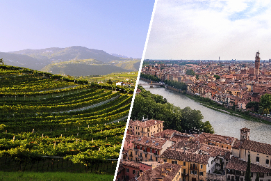 【ベネチア発着】【日本語の話せるイタリア人アシスタントと行く】ワイナリー見学と愛の街「ヴェローナ」日帰りツアー♪
